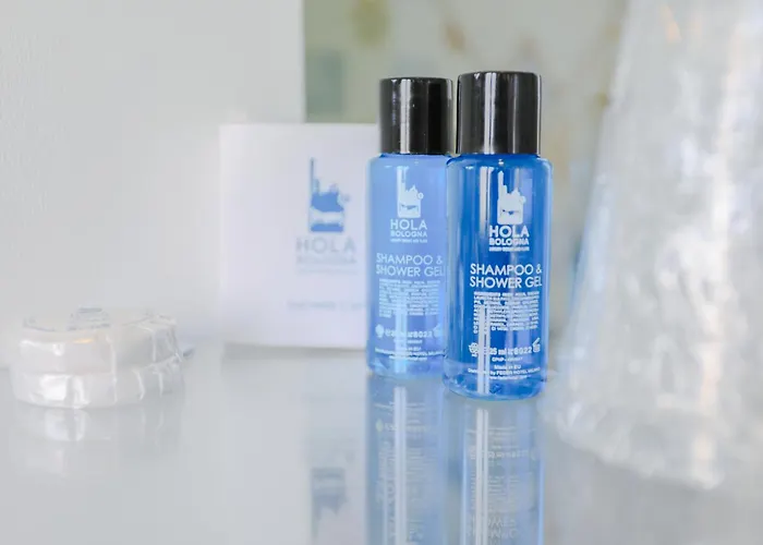 招待所 Holabologna Luxury And Flats 博洛尼亚