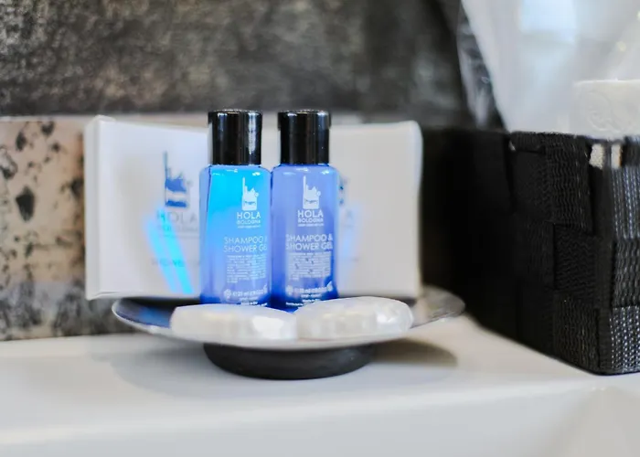 Holabologna Luxury And Flats